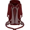 Image de SALEWA toeristische rugzak rugzak Alp Mate 30 WS Syrah wijnrood