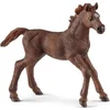 Image de Schleich Horse Club 13857 English Thoroughbred Foal