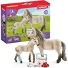 Image de schleich HORSE CLUB - Hannahs Verbanddoos - 42430