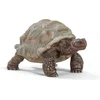 Image de schleich WILD LIFE - Reuzenschildpad - Speelfiguur - Schildpad speelgoed - 14824