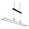 Image de B.K.Licht - Glazen Hanglamp voor binnen - zwart - dimbaar - eetkamer - hoogte verstelbaar - LED hanglamp - pendellamp - 3.000K - 1.600lm - 20W LED