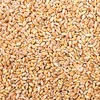 Image de 15 kg Tarwe Kippenvoer, Enkelvoudig Voer voor Kippen en Pluimvee, Voedertarwe, Tarwekorrels, Graan, Pluimveevoer, Zak Tarwekorrels, Wilde Vogels, Petigi