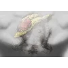 Image de Fotobehang Tattoo1 DD117435 A.S. Création Atelier 47 | Fotobehang online webshop