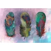 Image de Fotobehang MotleyFeather1 DD117620 A.S. Création Atelier 47 | Goedkoop fotobehang