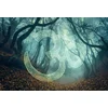 Image de Fotobehang SymbolForest1 DD117775 A.S. Création Atelier 47 | Fotobehang
