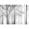 Image de Bos behang zwart wit DD117945, BRICOFLOR.nl