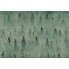 Image de Fotobehang Coniferous1 DD117980 A.S. Création Atelier 47 | Fotobehang online webshop