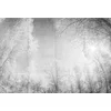 Image de Fotobehang ForestGlade1 DD118020 A.S. Création Atelier 47 | 3D Fotobehang op maat