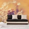 Image de Fotobehang Dandelion1 DD118594 A.S. Création Designwalls | Fotobehang