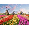 Image de Fototapete Zaanse Schans DD118694 A.S. Création Designwalls | Jetzt Fototapeten günstig kaufen