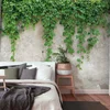 Image de Fotobehang planten op stenen muur, beton behang met planten, 3D behang met muur motief, vliesbehang groen, in 3,50 x 2,55 m, BRICOFLOR.nl