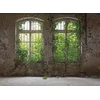 Image de 3D fotobehang, groen fotobehang met venster, 3D behang met tuinmotief, vliesbehang met planten, 3,50 x 2,55 m, BRICOFLOR.nl