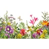 Image de Fotobehang MotleyFlowers DD118799 A.S. Création Designwalls | 3D Fotobehang op maat