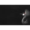 Image de Fotobehang CrownedCraneBlack DD119805 A.S. Création ARTist Zwart Antraciet Wit Vlies 270 x 400 cm (4 delen) Fotobehang