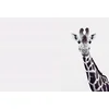 Image de Fotobehang GiraffePotrait DD119817 A.S. Création ARTist Zwart Antraciet Wit Vlies 270 x 400 cm (4 delen) 3D Fotobehang