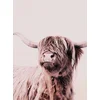 Image de Fotobehang HighlandCattle1 DD119821 A.S. Création ARTist Beige Creme Vlies 270 x 200 cm (2 delen) 3D Fotobehang op maat