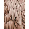 Image de Fotobehang Feathers1 DD119841 A.S. Création ARTist Beige Creme Bruin Vlies 270 x 200 cm (2 delen) 3D Fotobehang op maat
