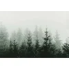 Image de Fotobehang MountainForest DD119873 A.S. Création ARTist Groen Wit Vlies 270 x 400 cm (4 delen) 3D Fotobehang