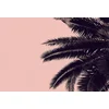 Image de Fotobehang PalmTree DD119877 A.S. Création ARTist Roze Zwart Antraciet Vlies 270 x 400 cm (4 delen) Fotobehang online webshop