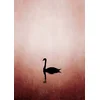 Image de Fotobehang SwanLake DD119917 A.S. Création ARTist Roze Zwart Antraciet Vlies 280 x 200 cm (2 Teile) 3D Fotobehang op maat