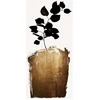 Image de Fotobehang GoldenScabiosa DD119937 A.S. Création ARTist Goud Zwart Antraciet Vlies 280 x 200 cm (2 Teile) 3D Fotobehang