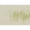 Image de Fotobehang atthepond1 DD122052 Livingwalls Walls by Patel 3 Groen Beige Creme Vlies 270 x 400 cm (4 delen) Fotobehang online webshop