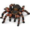 Image de schleich WILD LIFE - Vogelspin - 14829