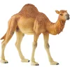 Image de schleich WILD LIFE - Dromedaris - Speelfiguur - Kinderspeelgoed voor Jongens en Meisjes - 3 tot 8 jaar - 14832