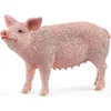 Image de schleich FARM WORLD - Varken - 13933