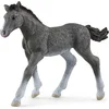 Image de schleich HORSE CLUB - Trakehner veulen - Speelfiguur - Kinderspeelgoed voor Jongens en Meisjes - 5 tot 12 jaar -13944