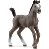 Image de schleich HORSE CLUB - Selle Français-veulen - 13957