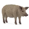 Image de schleich FARM WORLD - Wolvarken - 14892