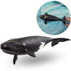 Image de schleich WILD LIFE - Noordkaper - 14878