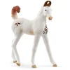 Image de schleich HORSE CLUB - Marwari Veulen - 14896
