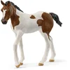 Image de schleich HORSE CLUB - Paint Veulen - 14899