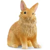 Image de schleich FARM WORLD - Leeuwenkop Konijn - 13974