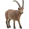Image de schleich WILD LIFE - Steenbok - 14873