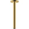 Image de Hansgrohe Raindance e douchearm plafond 30cm polished gold optic