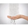 Image de Hansgrohe Rainfinity - Hoofddouche 360 met douchearm, 3jet, geborsteld brons 26234140