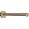 Image de Hansgrohe douchearm - 39cm - wand - brushed bronze (brons)