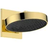 Image de Hansgrohe Rainfinity - Hoofddouche, diameter 25 cm, 3 stralen, EcoSmart, gepolijste goudlook 26233990