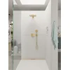 Image de Hansgrohe Raindance Select E - Douchekop, 3 straalsoorten, EcoSmart+, goudlook gepolijst 28729990