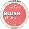 Image de essence BLUSH crush! 30