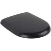 Image de Villeroy & Boch Antao - Toiletzitting, SoftClose, QuickRelease, Pure Black 8M67S1R7