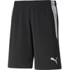 Image de Puma Teamliga Scheidsrechtersshort Heren - Zwart | Maat: L
