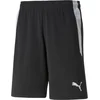 Image de Puma Teamliga Scheidsrechtersshort Heren - Zwart | Maat: XL