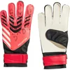 Image de adidas Performance Predator Training Keepershandschoenen - Unisex - Zwart