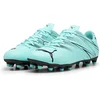 Image de Puma voetbalschoenen Attacanto FG/AG - Peppermint/Black - maat 43.