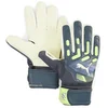 Image de Puma Future Match Nc Keepershandschoenen Grijs 11