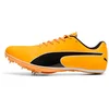 Image de Sportschoenen Puma EvoSpeed Sprint 14.5
